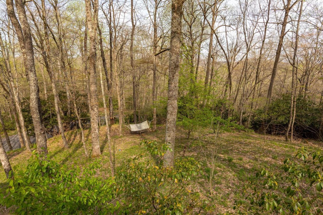 A Treetop Escape Villa Blowing Rock Kültér fotó